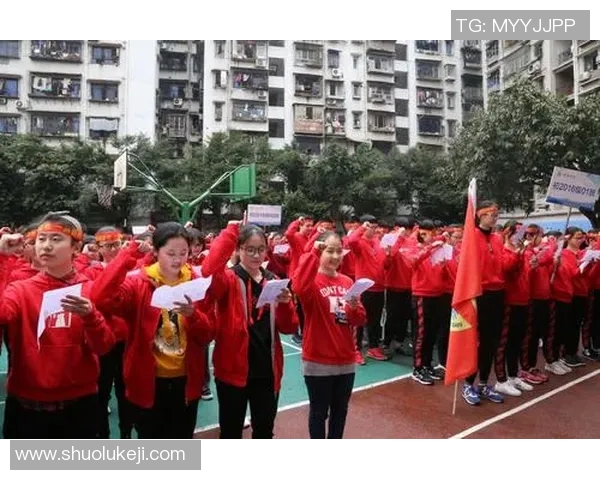 重庆乒乓球队的拼搏之路与钻石联赛的辉煌成就全景回顾