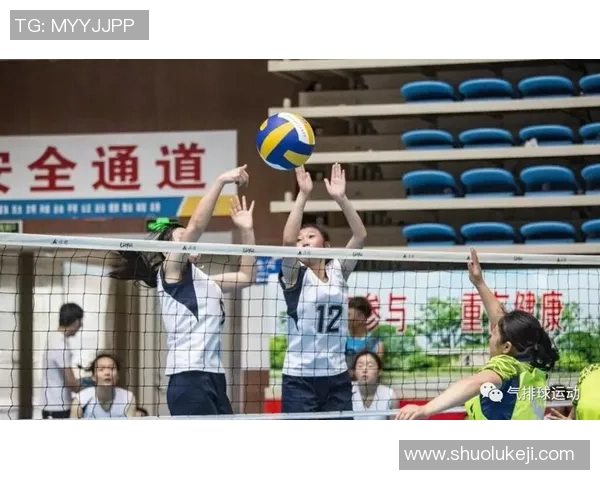 西安排球队整体压制体系解析与排球战术创新探讨