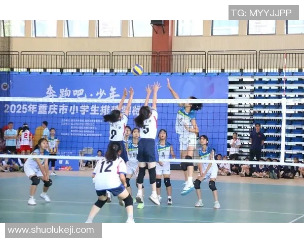 重庆排球队实力变革引发热议展现新风貌与发展潜力